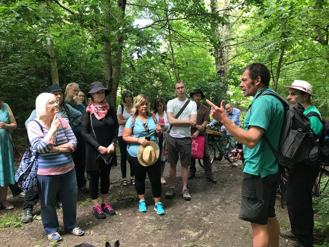 nf9WZszlSXuDt8kZCOpIVA